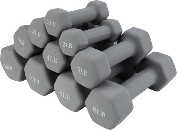 Saorzon Dumbbells Set of 2 Exercise Fitness Dumbbell for Hom...