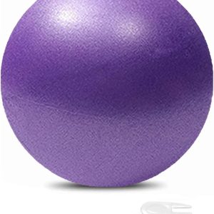 Mini Pilates 6 inch Exercise Ball for Yoga,Small Pilates Cor...