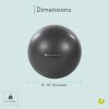 Balanced Body Inflatable Ball, Exercise Ball for Stability, ...