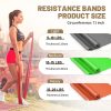 Resistance Bands Set, Exercise Bands, Elastic Workout Bands ...