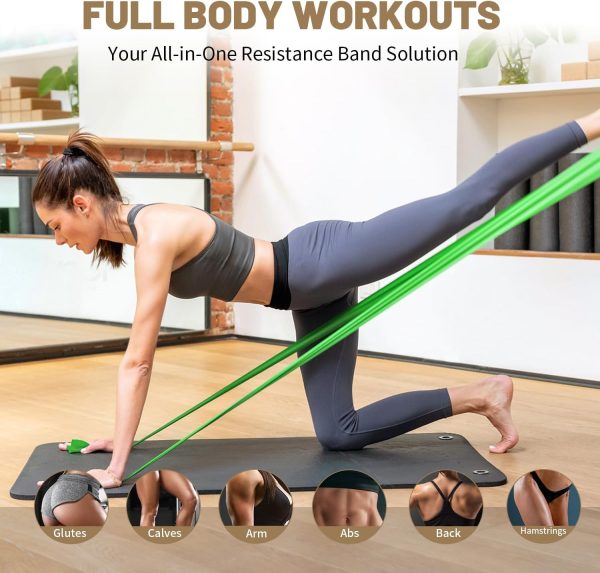 Resistance Bands Set, Exercise Bands, Elastic Workout Bands ...