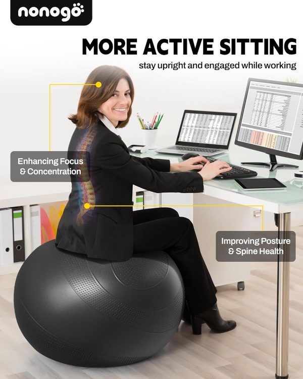 nonogo Anti-Burst Exercise Ball for Working Out - Stability ...