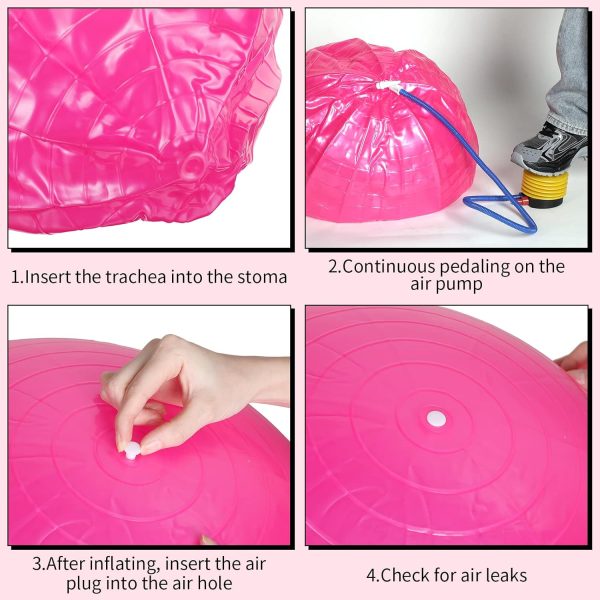 Jerify 10 Pcs Pilate Ball Exercise Ball Bulk Yoga Ball for F...