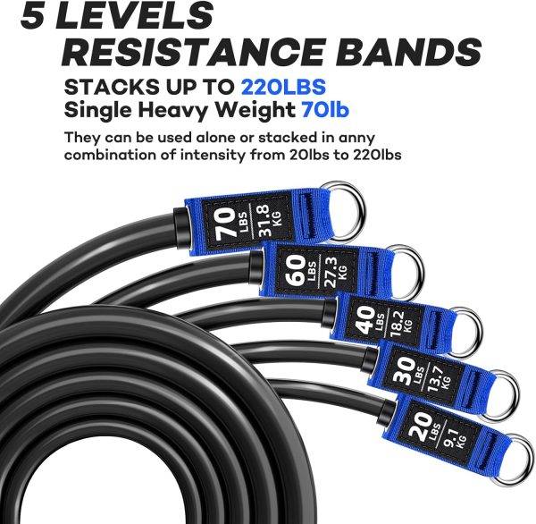 Heavy Resistance Bands for Working Out, NITEEN Resistance Ba...