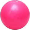 2pcs Exerciese Ball Pilates Ball Inflatable Yoga Training Ba...