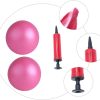 Sosoport Pilates Auxiliary Ball Gym Medicine Balls for Exerc...