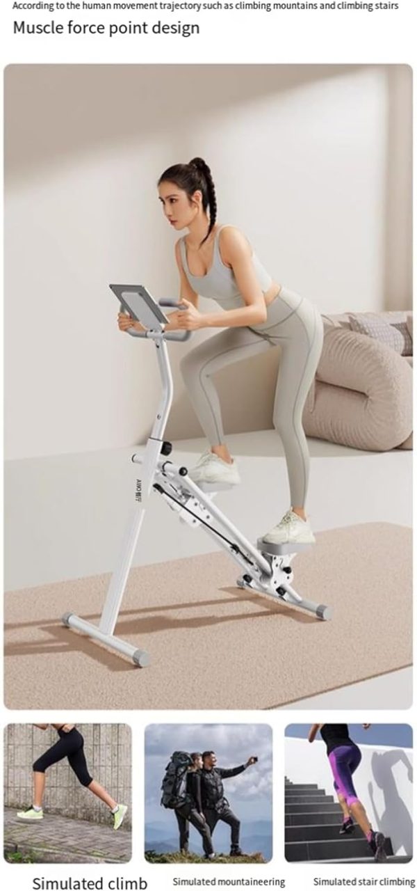 Multi-Functional Home Climbing Machine, Silent Indoor Steppe...