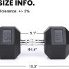LIONSCOOL Odorless Rubber Encased Hex Dumbbells in Pairs or ...