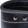 Fitster Weight Lifting Belt and Straps - Lifting Belt for At...