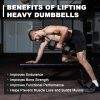 LIONSCOOL Odorless Rubber Encased Hex Dumbbells in Pairs or ...