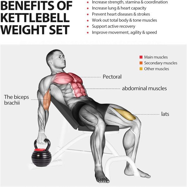 TopMade Adjustable Kettlebell - 5, 8, 9,12lb Kettlebell Weig...