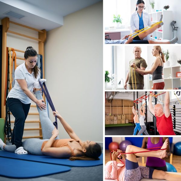 Resistance Bands for Working Out, 6 Packs Exercise Bands, Wo...