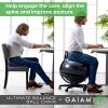 Gaiam Ultimate Balance Ball Chair (Standard or Swivel Base O...