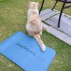 Mini Yoga Mat, Warrior-like Grip,Non-Slip,Alignment System,H...