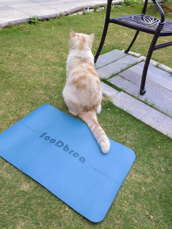 Mini Yoga Mat, Warrior-like Grip,Non-Slip,Alignment System,H...