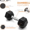 71wVLJIjR2L._AC_SL1500_.jpg CAP Barbell Coated Hex Dumbbell Weight | Multiple Options