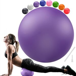 Soft Pilates Ball 9 Inch, Ideal Small Exercise Ball Between ...