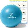 ProBody Pilates Ball 9 Inch - Small Exercise Ball for Stabil...